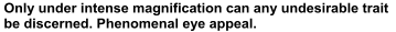 Only under intense  magnification can any undesirable trait  be discerned. Phenomenal eye appeal.